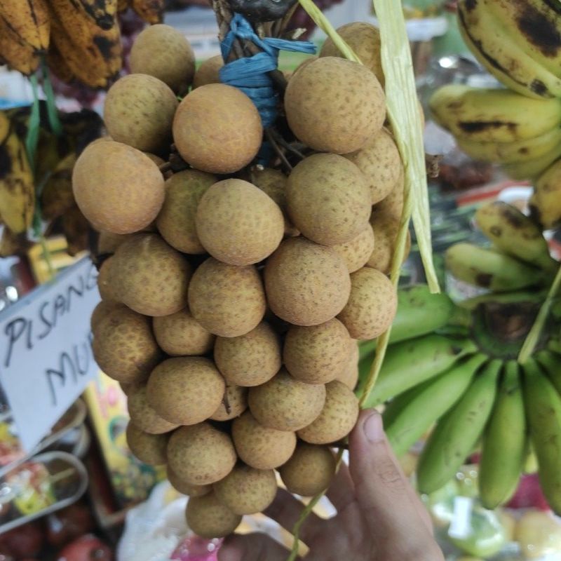 

Kelengkeng