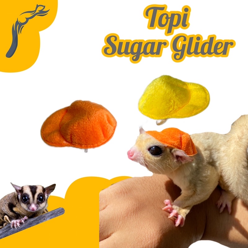 TOPI SUGAR GLIDER LUCU CAP SUGAR GLIDER TOPI SG TOPI TUPAI TERBANG