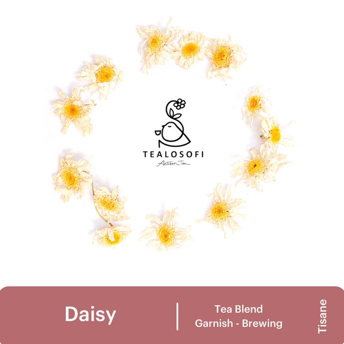

Daisy - Dried Edible Flower - Teh Bunga Tisane Tea Herbal Hiasan Kue TERLARIS TERPERCAYA ORIGINAL