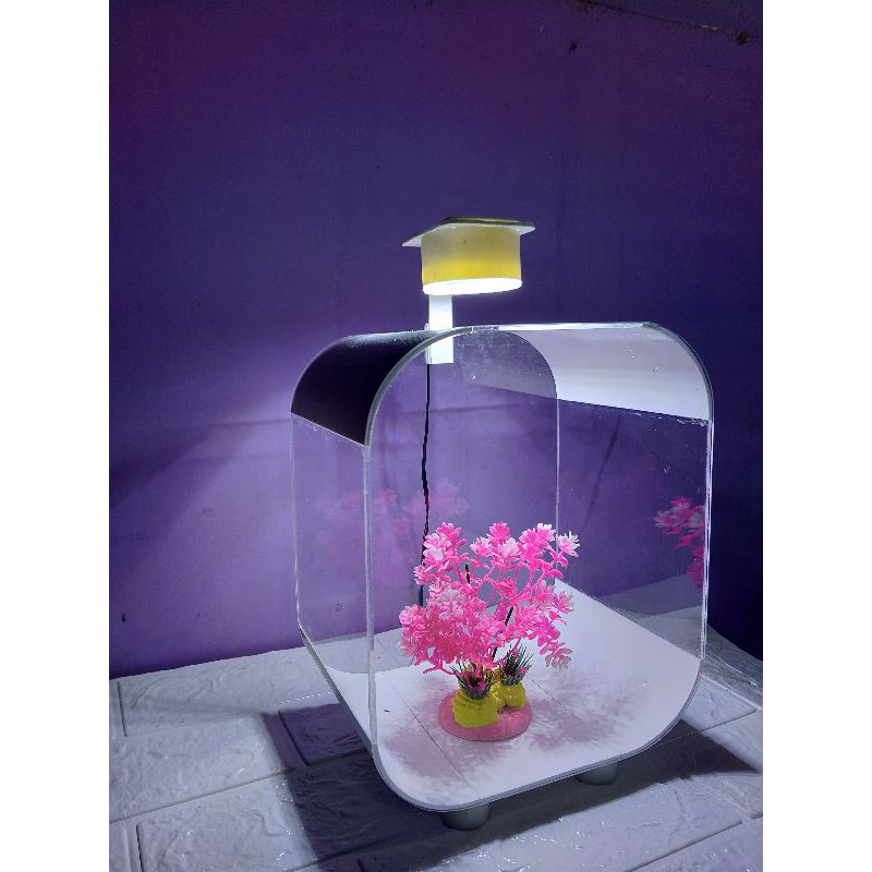 Aquarium Ikan Hias  dan 1 Set Lampu Akuarium Bahan Akrilik 25x20x15