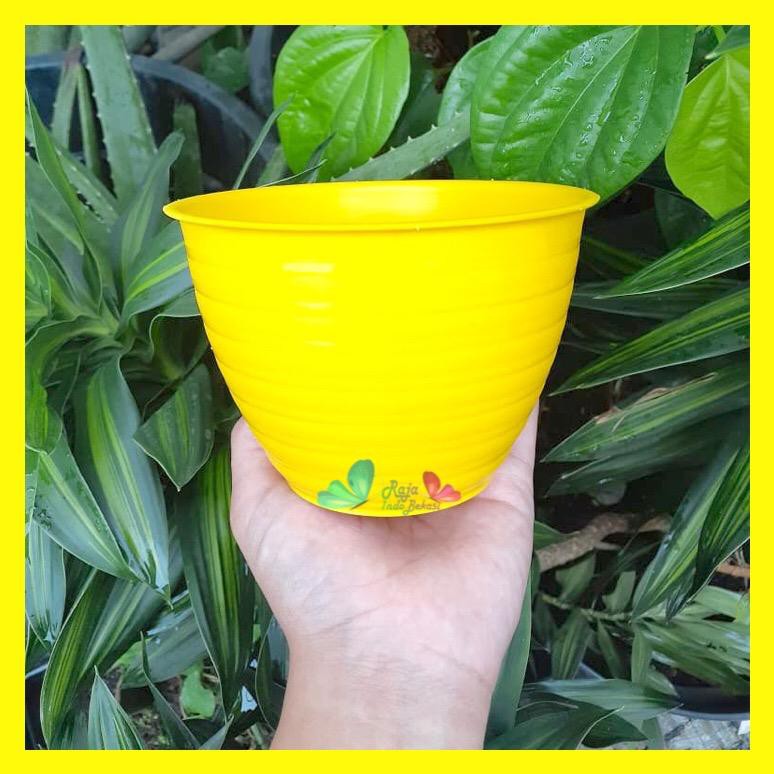 POT TAWON MDN 12 WARNA WARNI POT TAWON 12 cm - POT PLASTIK 12CM VAS BUNGA TAWON BULAT pot tawon 12