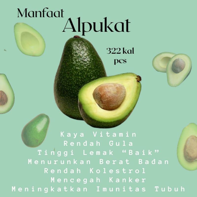 

Buah Alpukat Mentega Segar Fresh 1 kg