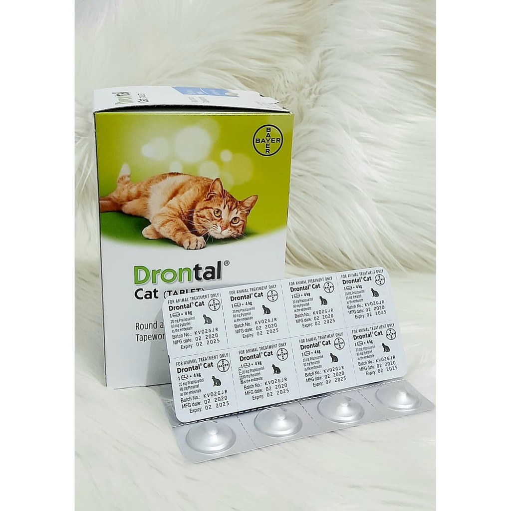 Drontal Cat Obat Cacing harga 1 tablet