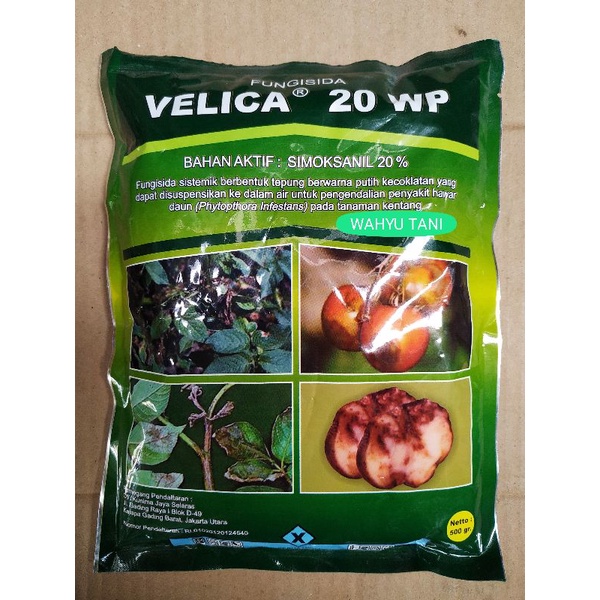 VELICA 20 WP BAHAN SIMOKSANIL FUNGISIDA SISTEMIK 500 GRAM