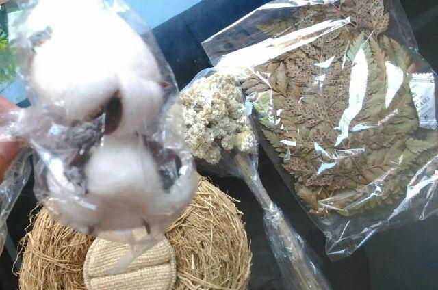 Birdnest Akar Wangi Diameter Luar +-15cm