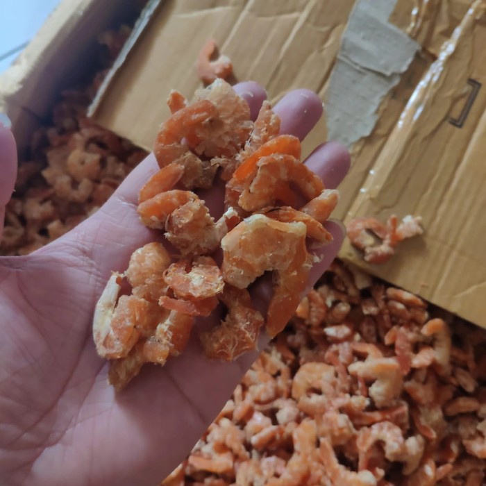 

ebi super asli manis besar