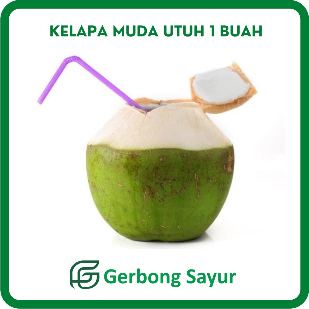 

Kelapa Muda Utuh 1 Buah Segar