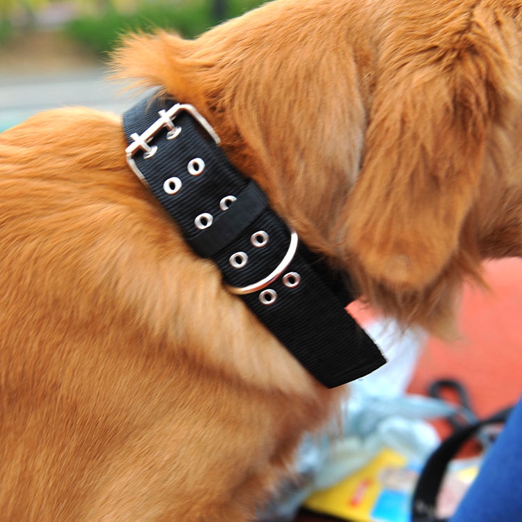 ★〓YUFeiPet〓★Golden Pet Collar Four-layer Thick Nylon Woven Double-breasted Large Dog Collar Dog Collar Cat Collar Pet Supplies