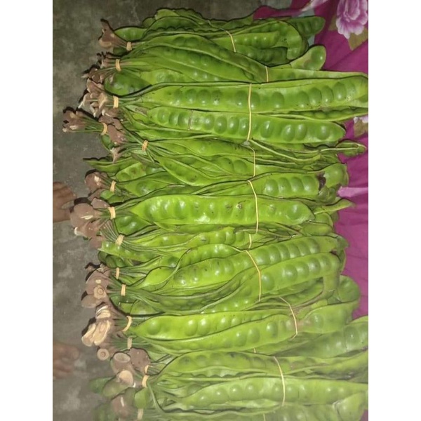 

Pete papan per ikat 10 papan