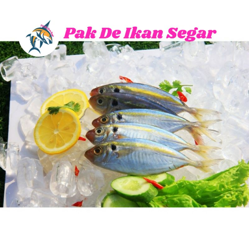 

Ikan Selar Segar