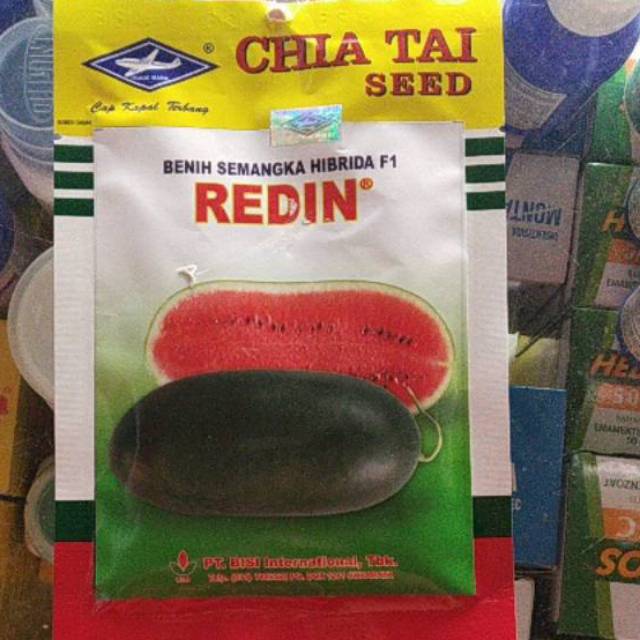 Benih Semangka INUL REDIN F1