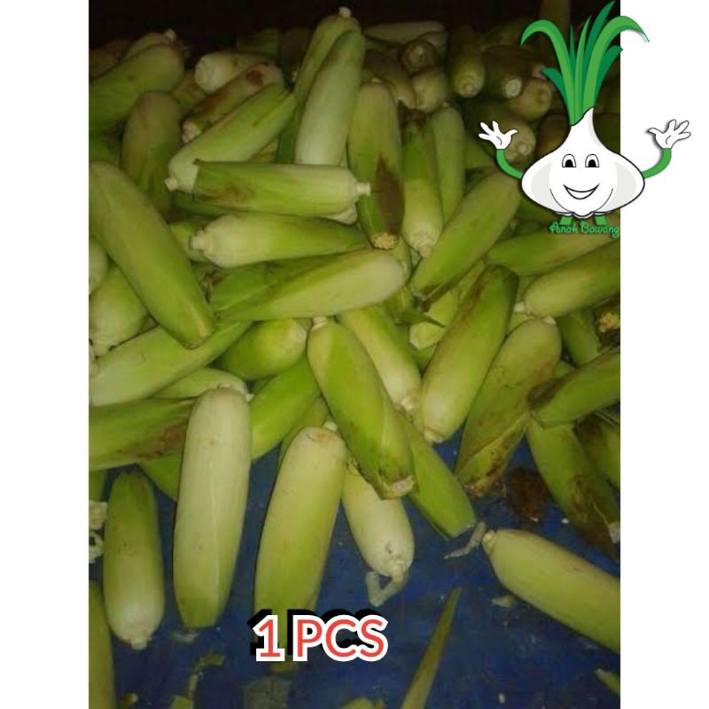 

1 pcs jagung manis