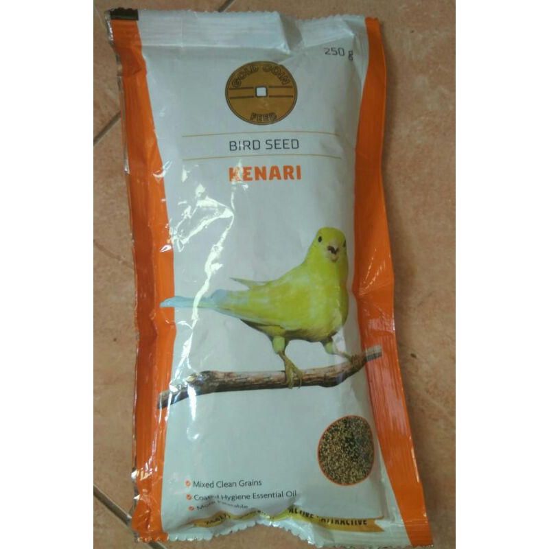 

gold xoin kenari