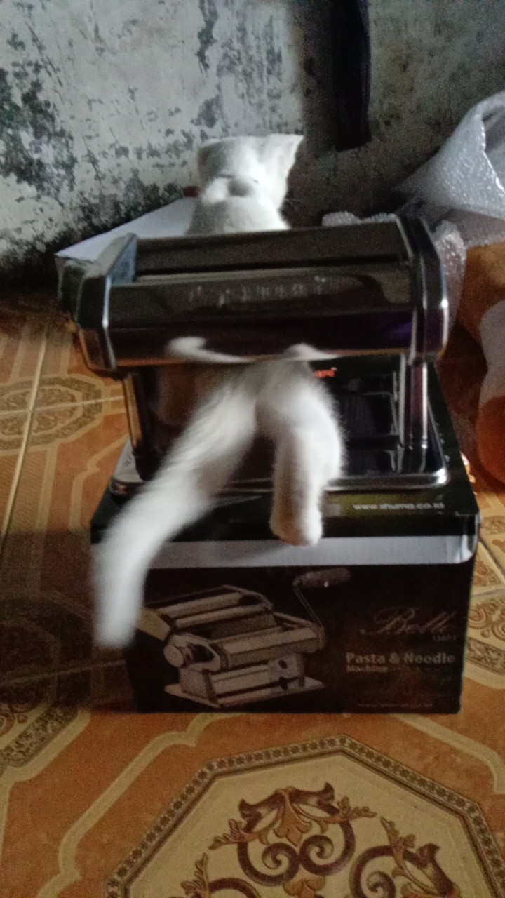 Gilingan Mie - Molen - Pasta Maker Shuma 150at (00142.01180)