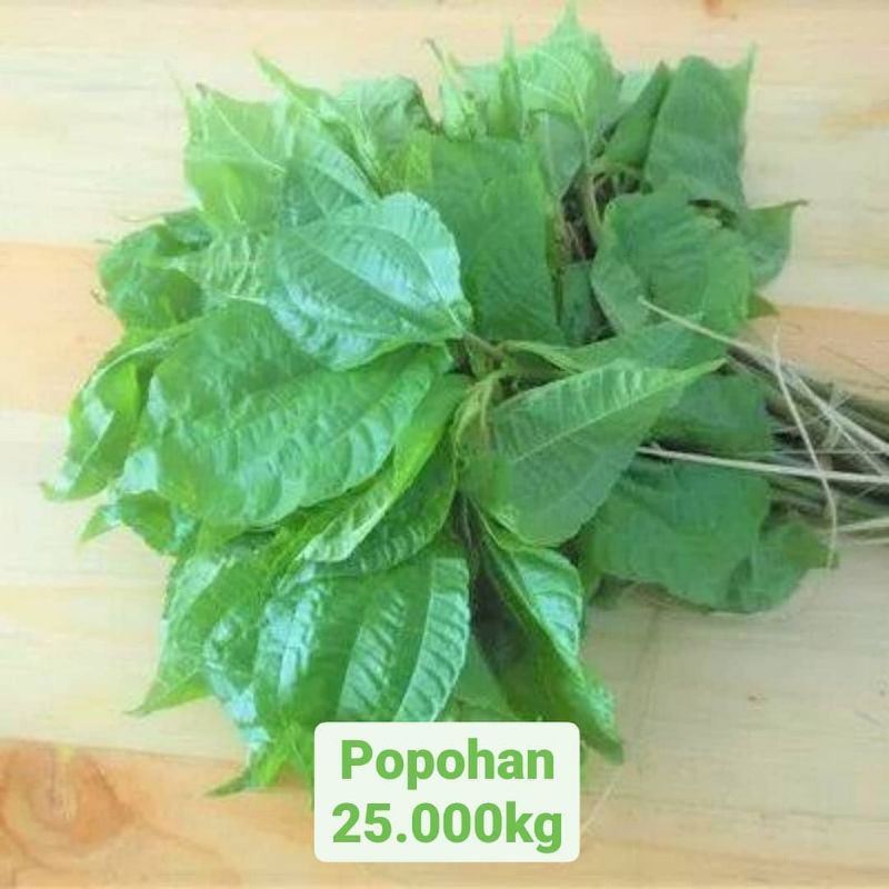 Daun popohan 1kg