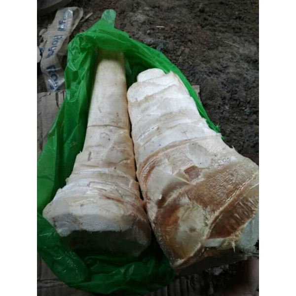 

rebung bambu sayur 1kg