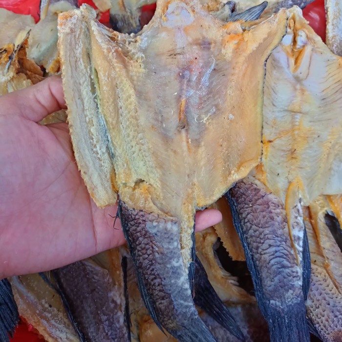 

ikan asin gabus besar 500gram