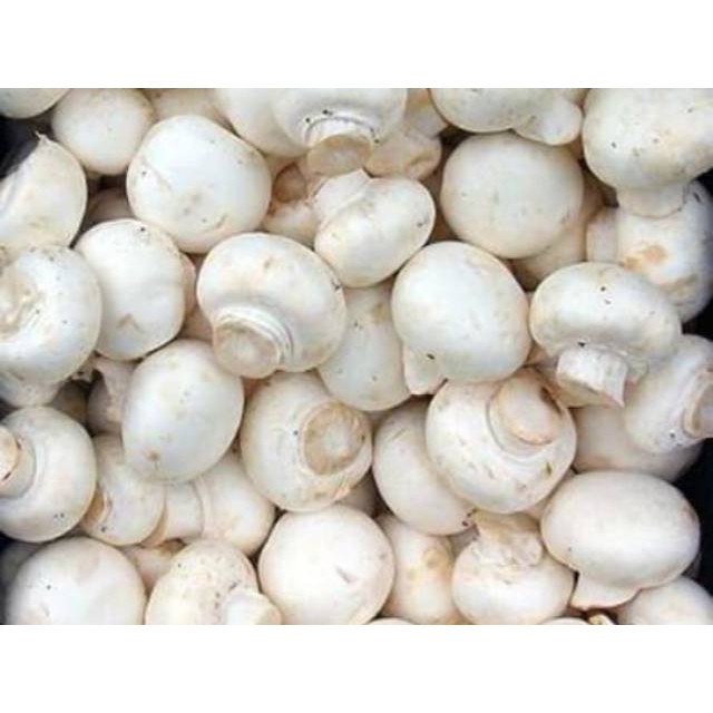 

Jamur Kancing Putih / Champignon Fresh 250 gram