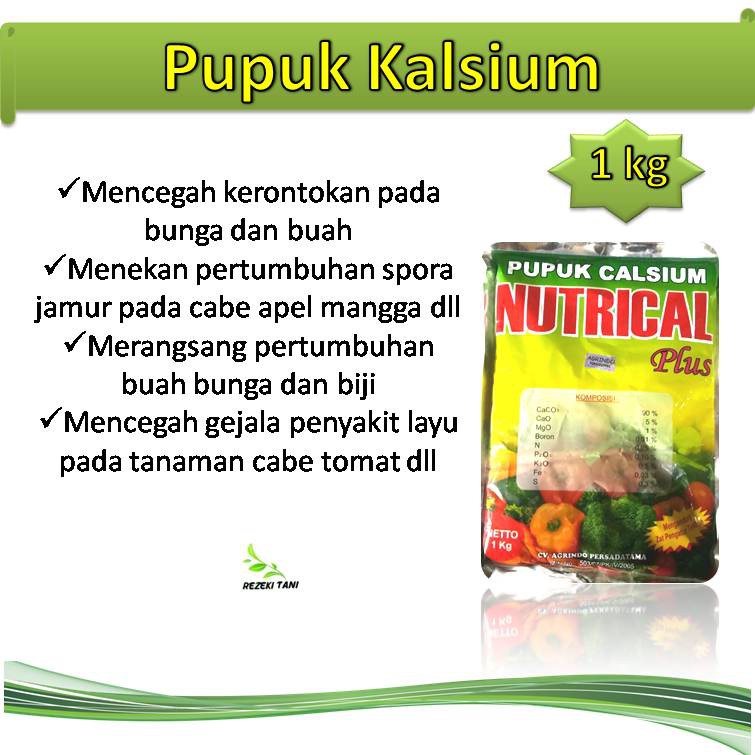 pupuk anti rontok bunga buah kalsium Nutrical plus untuk  