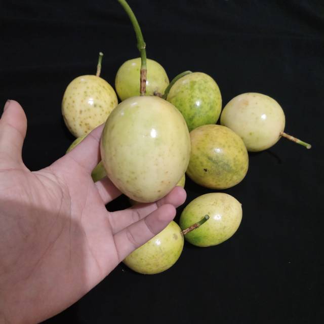 

buah markisa kuning asam manis fresh 1 kg