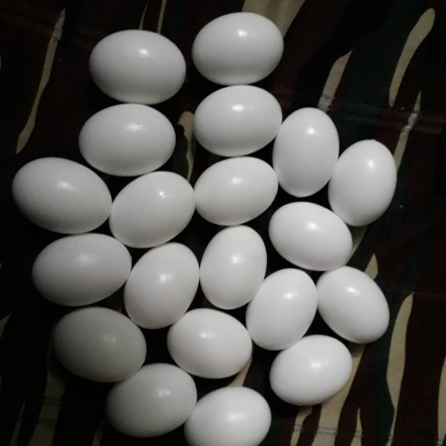 

Telur palsu import