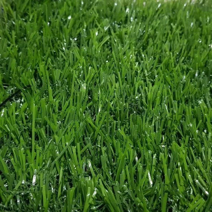 rumput sintetis Swiss per 1 meter - artificial - karpet rumput palsu