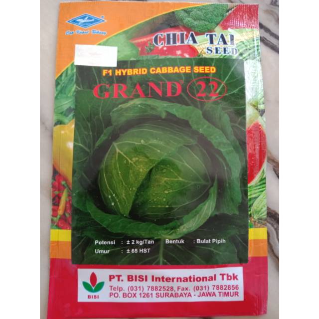 Benih Biji Bibit Kubis Kol F1 Hybrid Cabbage Seed Grand 22, 2 gram - Chia Tai Seed