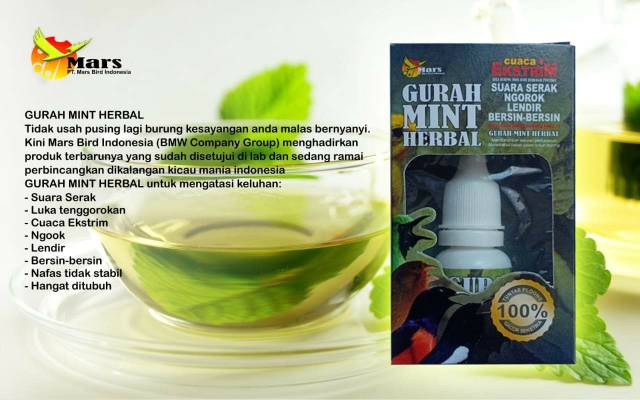 Simak Manfaat Gurah Mint Herbal 