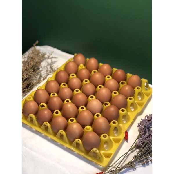 

Telur negeri 30 butir - Fresh/ Segar