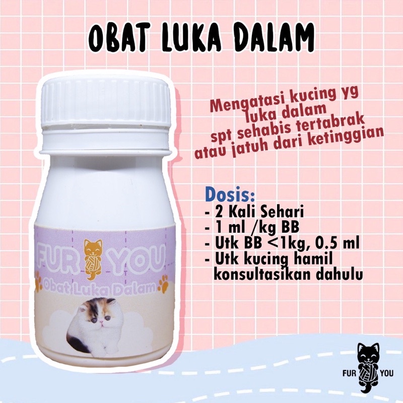 Fur you obat luka dalam kucing - tabrakan / jatuh pendarahan dalam