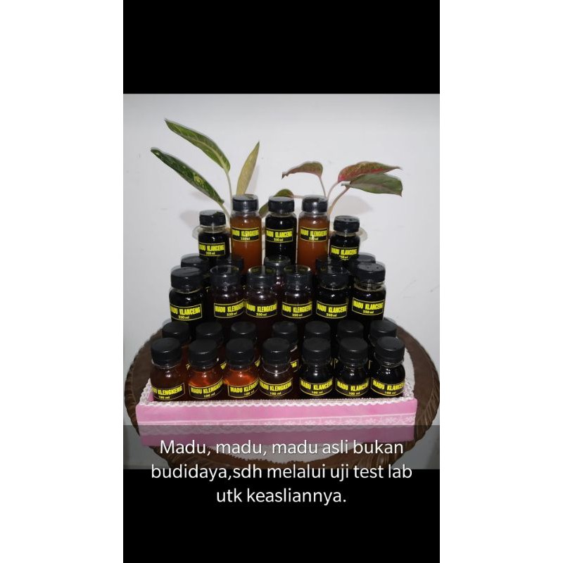 

madu klanceng