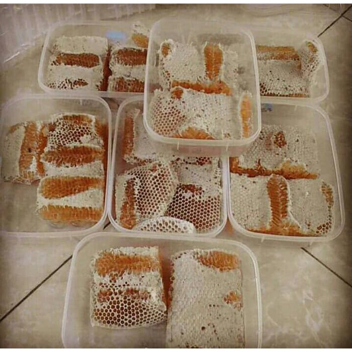 

Madu + Sarang Lebah 1/2kg Gurih|Renyah|Nikmat|Kaya Multivitamin|Energi - MMD865