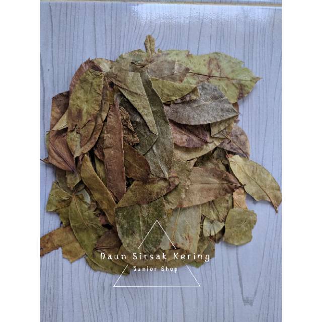 

Daun Sirsak / Sirsat kering 500gram