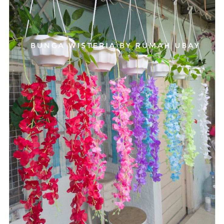 BmRh [COD]Bunga WISTERIA JUMBO + POT GANTUNG