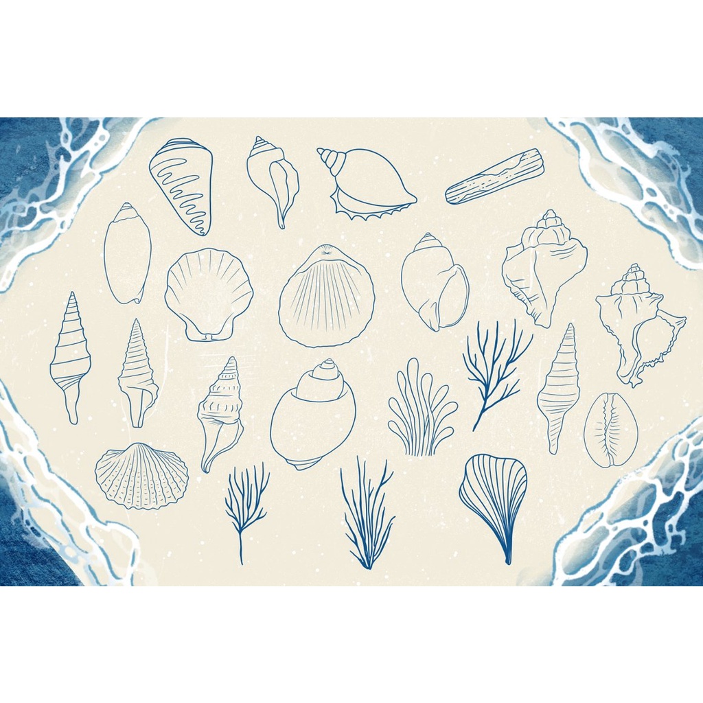 Procreate Brush - Seashells &amp; Driftwood Procreate Set