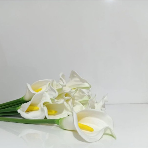 bunga calla lily jumbo premium