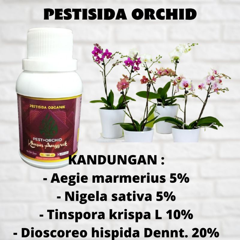 Insektisida Pembasmi Hama Kutu Putih, Untuk Bunga Anggrek Dan Tanaman Hias