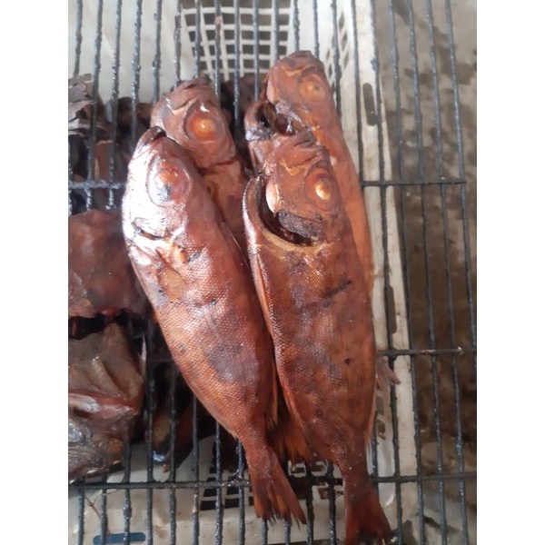 

Ikan Asap Mata Goyang/Swangi/Moto Ombo