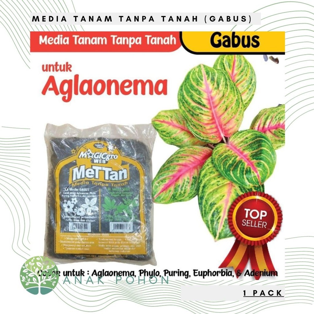 Media Tanam Gabus Small - untuk Aglaonema / Aglonema METAN (Media Tanam Tanpa Tanah) - Green World MAGICgro WEB METTAN