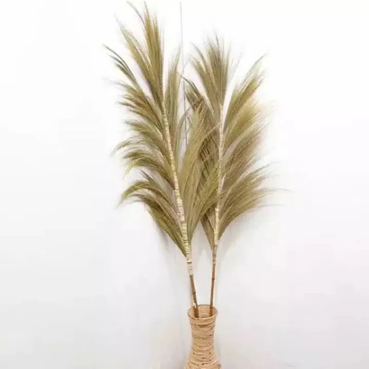PAMPAS STICK / RAYUNG STICK