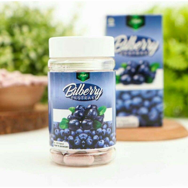 Ekstrak Buah Bilberry Extract 60 Kapsul