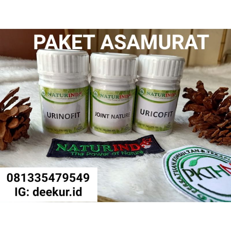Naturindo Paket Herbal Asam Urat