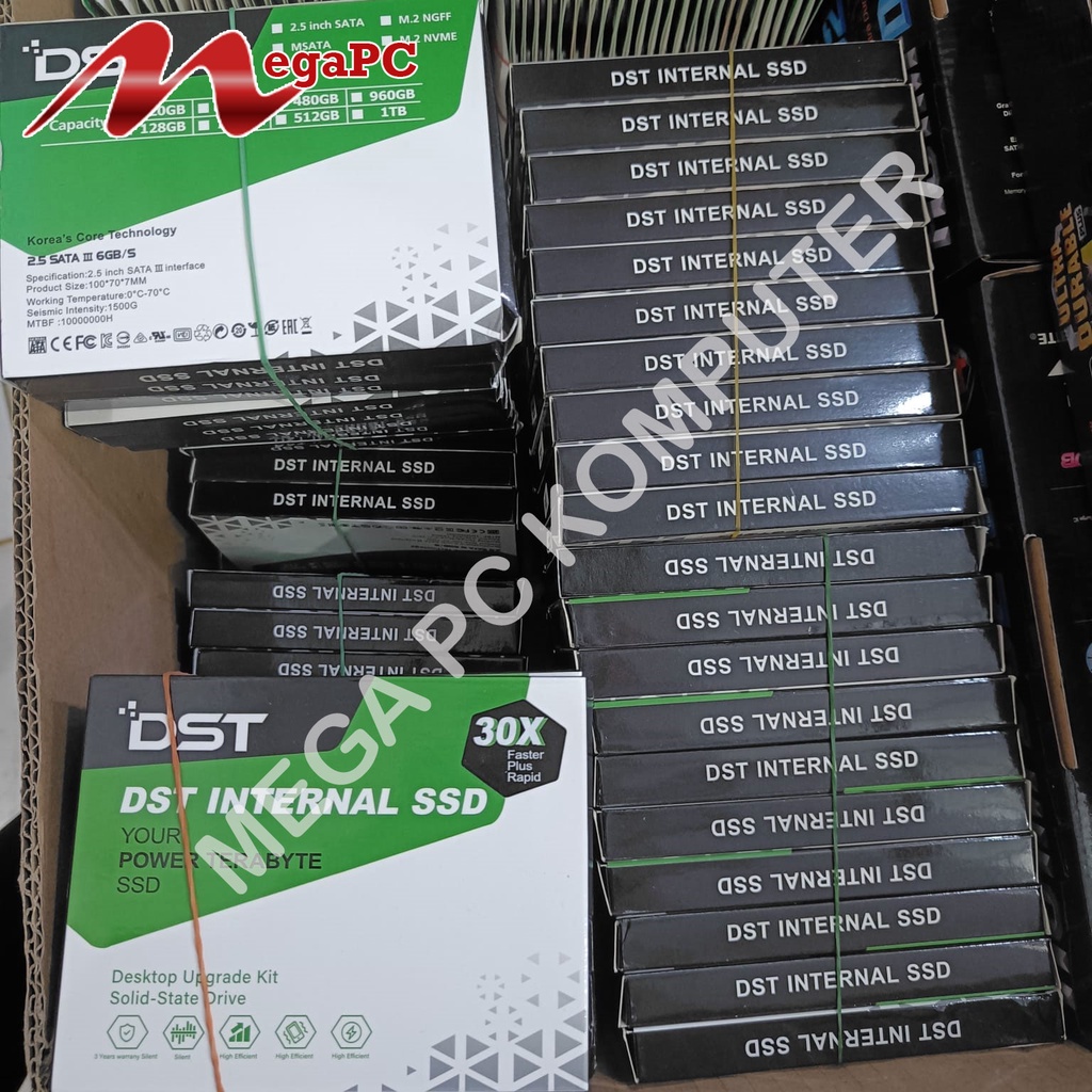 SSD 512GB SATA III DST ORIGINAL GARANSI RESMI