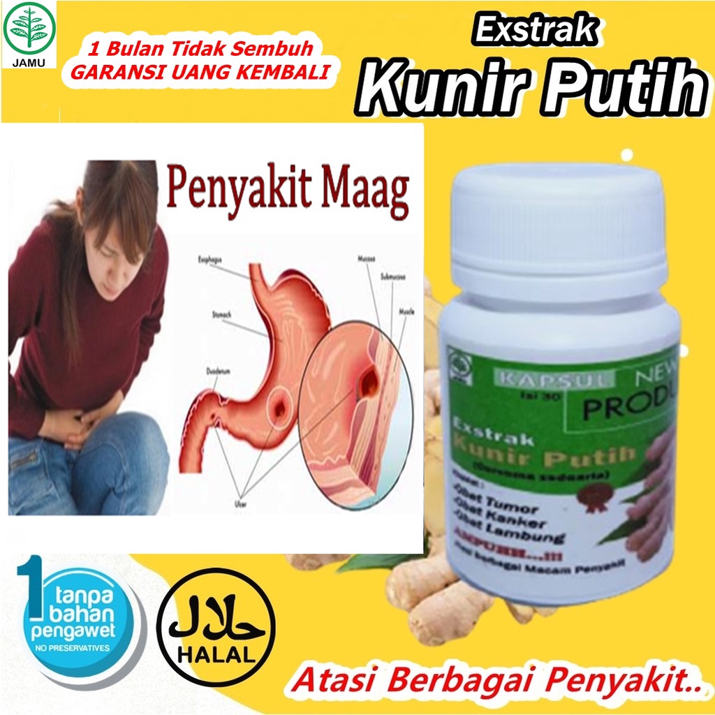 obat asam lambung herbal 100% obat maag kronis ampuh kesehatan lambung obat asam lambung paling ampu