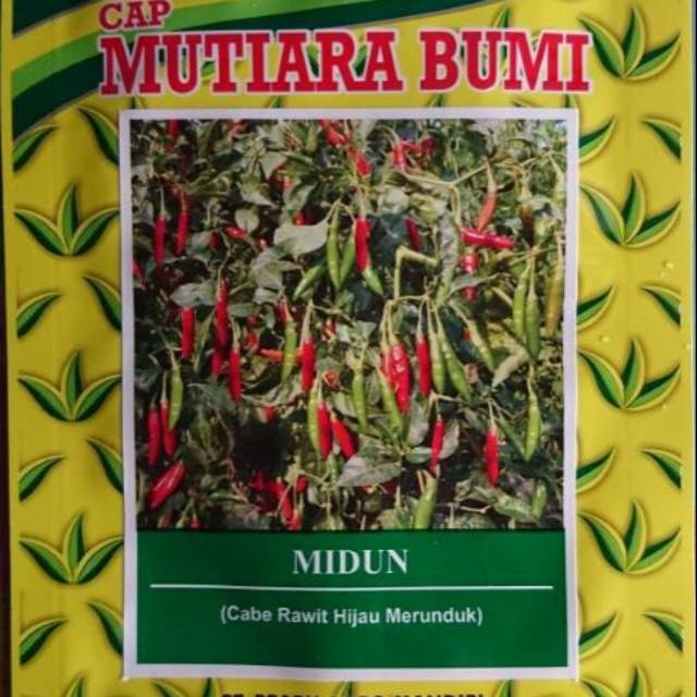 BISA COD  Benih Bibit Cabe Rawit Hijau Unggul MIDUN 10gr  kualitas bagus