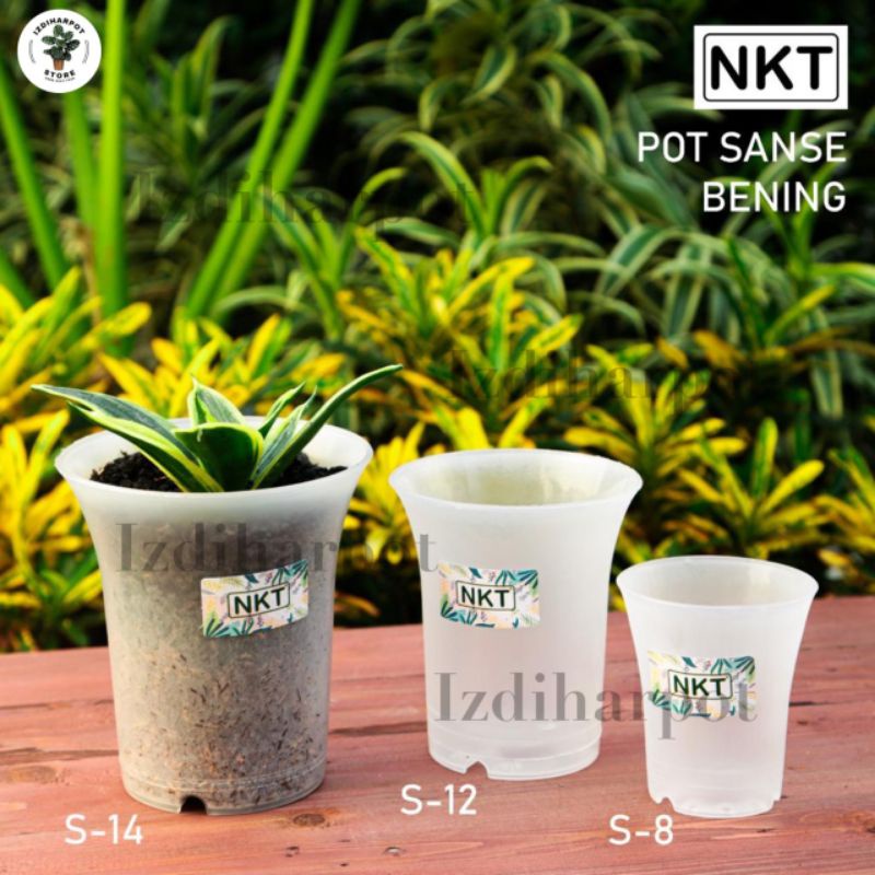 pot bunga tanaman nkt sanse 8CM BENING TRANSPARAN - NKT SANSE 8 BENING