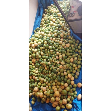 

lemon lokal