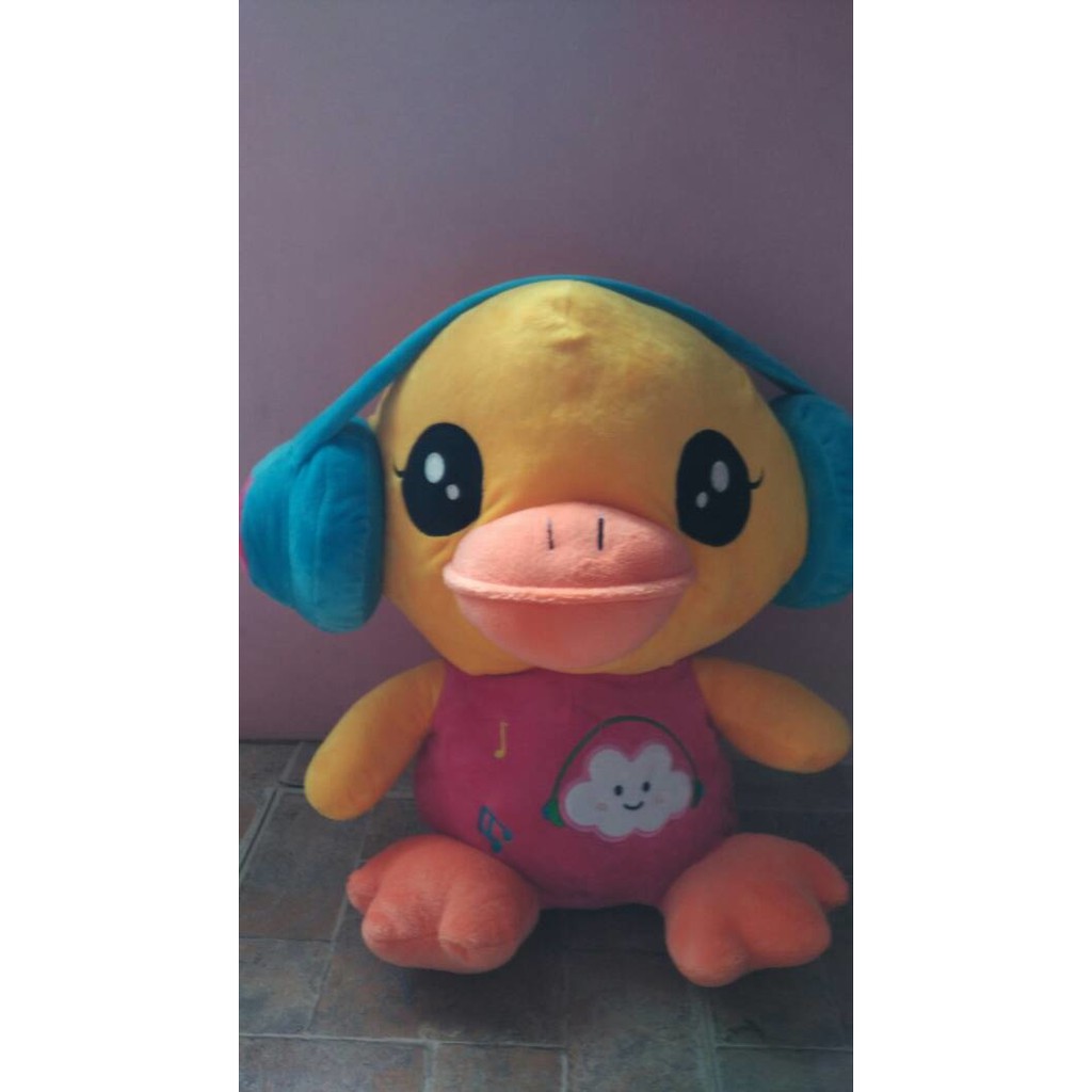 

Duck