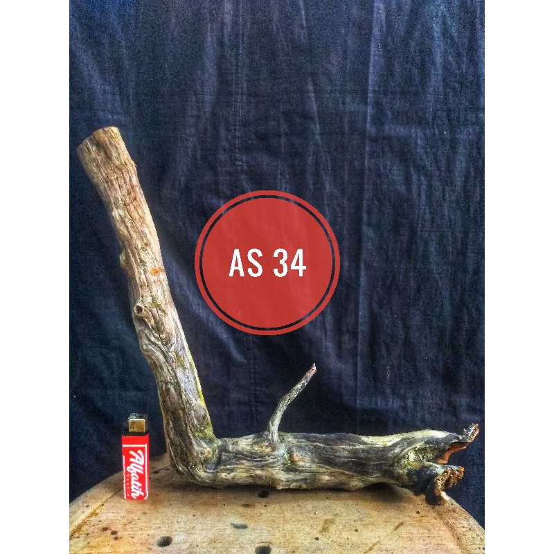 Kayu Santigi Karang Aquascape Hiasan Aquarium 11