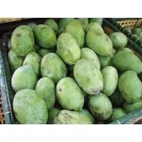 

Buah Mangga Manalagi 500 Gram